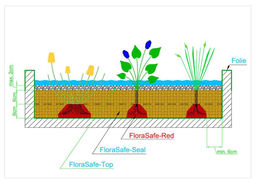 flora-safe-beet flora-safe-beet