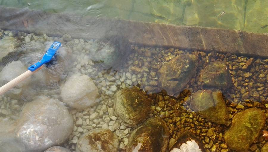 freshup-pool-u-teichreiniger freshup-pool-u-teichreiniger